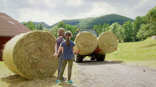 Helmi-Kinder-Verkehrs-Club: Sperrgebiet