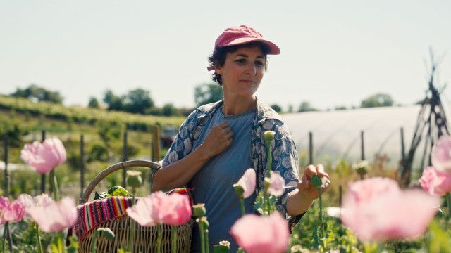 Österreich - Die ganze Geschichte (10/10): Austria goes Europe