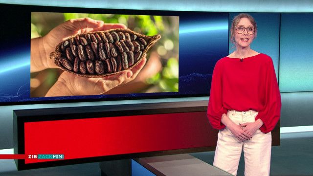 ZIB Zack Mini vom 13.02.2026