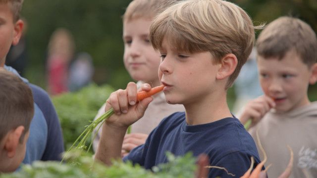 Naturgeschichten: Die flotte Karotte - Folge 1