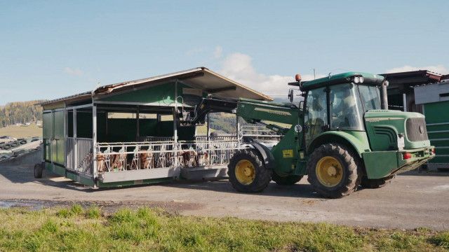 Österreich-Bild: Der steirische Vifzack. Frische Ideen - direkt ab Hof