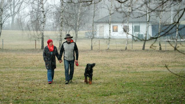 Auf der Suche nach der Libido – Wege zur neuen Lust