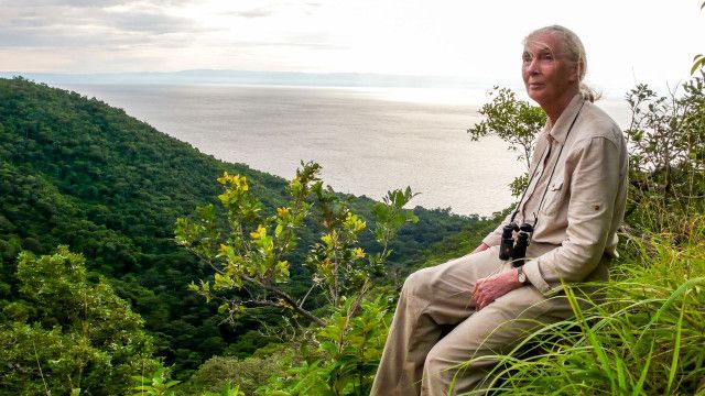 Universum History: Die Lebensreise der Jane Goodall