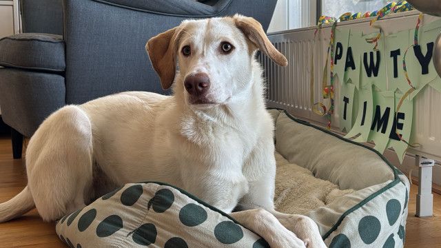 Mini Spezial: Ellie (8)