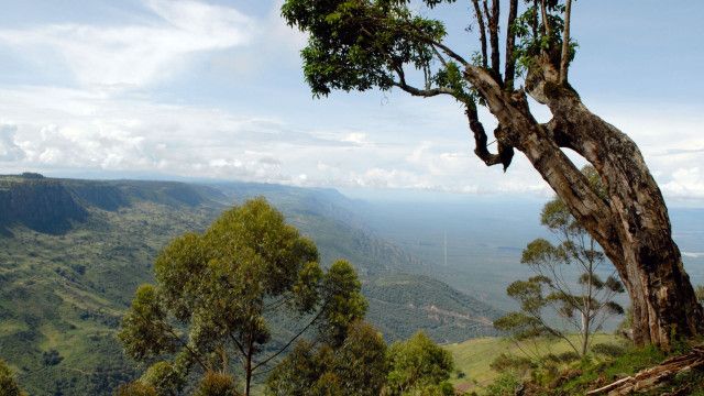 Universum: Rift Valley - Der große Graben (1/3)