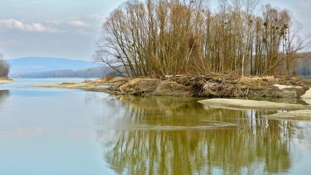 Universum: Wildnis am Strom - Nationalpark Donau-Auen