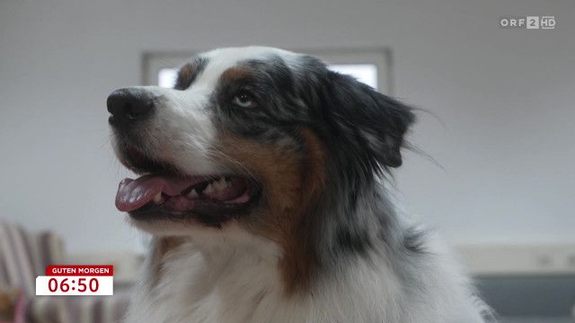 Guten Morgen Österreich vom 05.03.2026