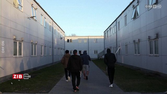 ZIB 11:00 vom 16.11.2025