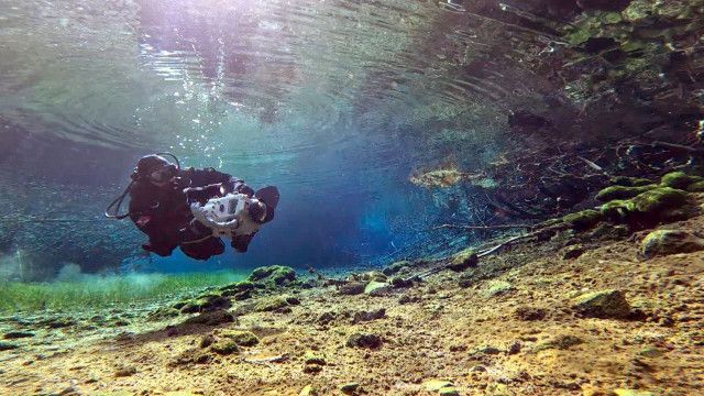 Erlebnis Österreich: Das Blau der Stille- Aus dem Leben eines Unterwasserkameramannes