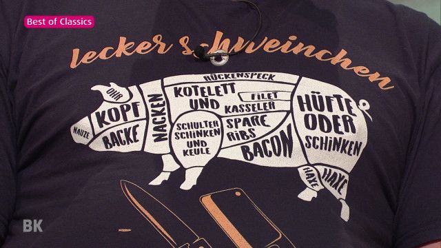 Die Barbara Karlich Show - Classics: Streitgespräche