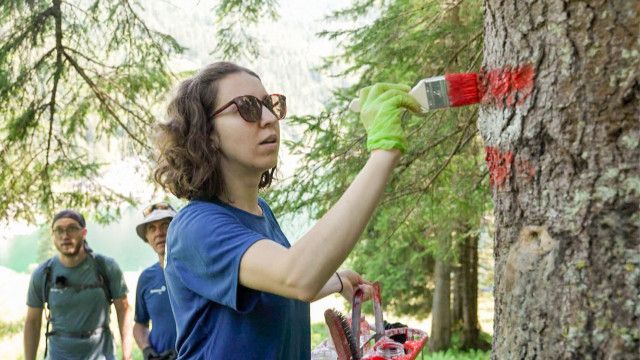 Erlebnis Österreich: Über Stock und Stein - Die Wegewarte der Alpinvereine