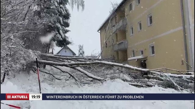 ORF III AKTUELL am Abend vom 20.02.2026