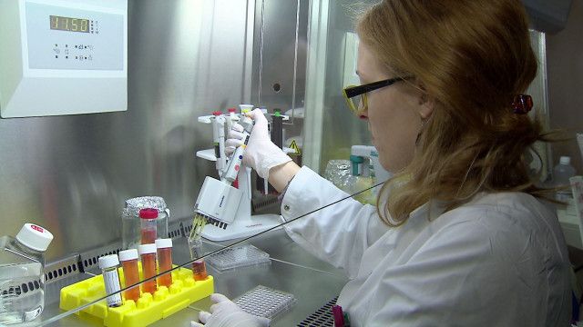 treffpunkt medizin: Wie funktioniert unser Immunsystem?