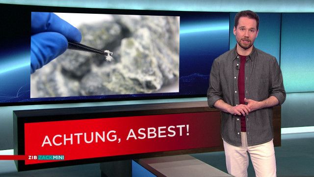 ZIB Zack Mini vom 12.03.2026