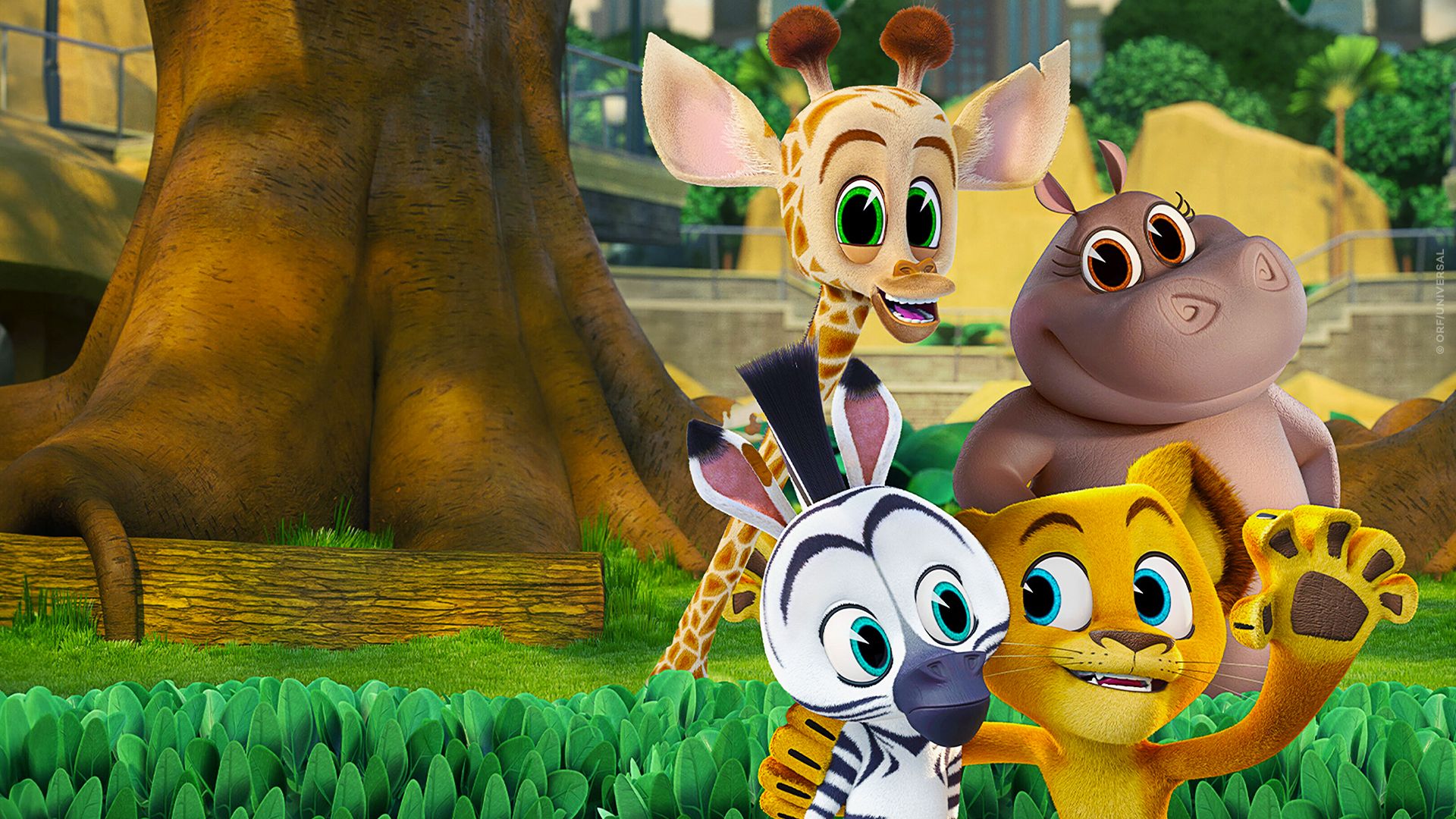 Madagascar - Die kleine Wildnis