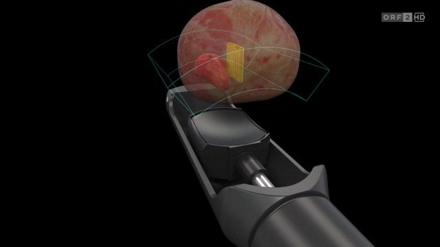 Mayrs Magazin - Wissen für alle vom 09.01.2026