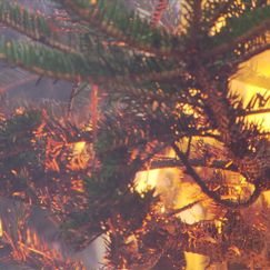 Weihnachtszeit erhöht Brandgefahr in Wohnungen