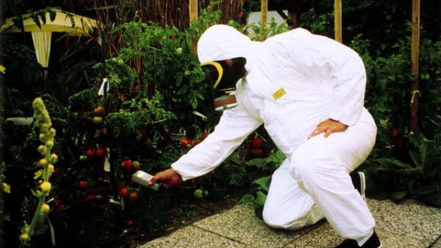 Am Schauplatz: Eingebunkert