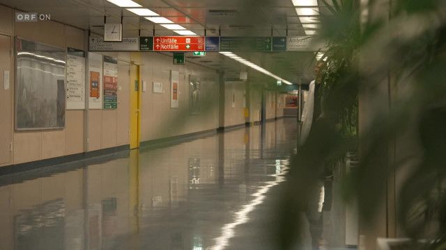 Bewusst Gesund - Das Magazin vom 17.01.2026