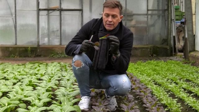 Mini Spezial: Robert und das Wintergemüse