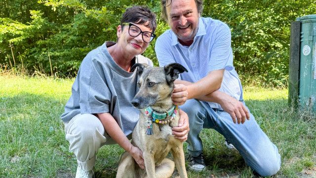 Dok 1: Auf den Hund gekommen