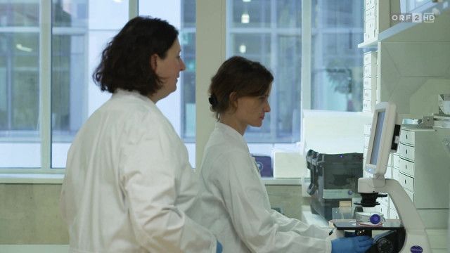 Mayrs Magazin - Wissen für alle vom 30.01.2026