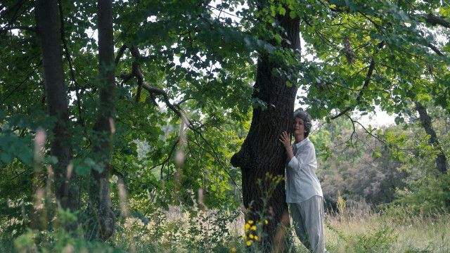 Österreich - Die ganze Geschichte (5/10): Ökos und Betonierer