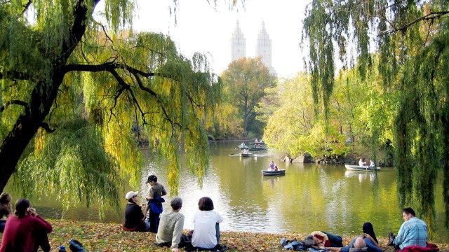 Universum: Central Park - Das Herz Manhattans