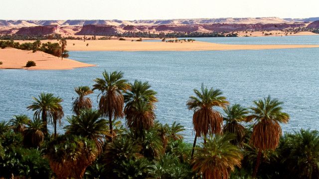 Expeditionen: Ur-Amazonas - Fluss aus der Wüste