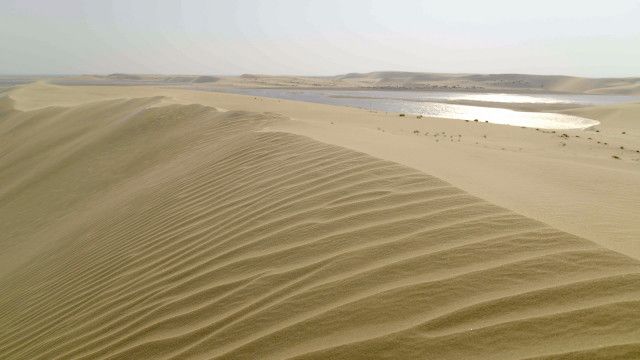 Universum: Qatar – Perlen im Sand
