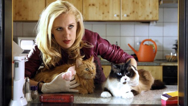 Soko Donau (3/14): Tür an Tür