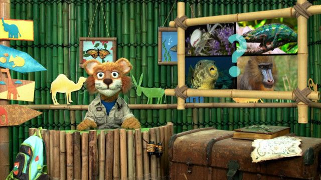 Tolle Tiere vom 22.07.2024