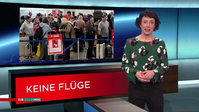 ZIB Zack Mini vom 03.03.2026