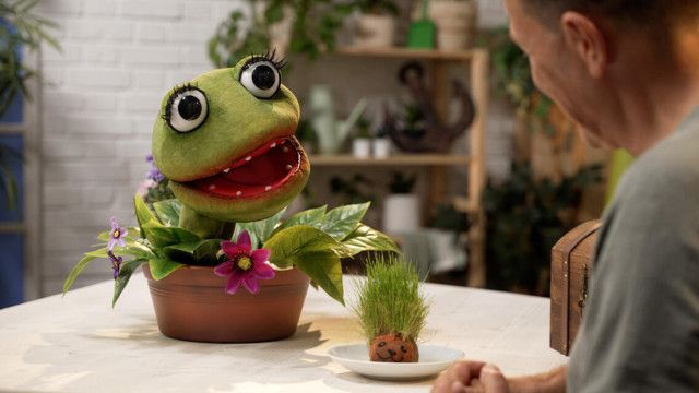 Die Gartenpiraten: Blumenwiese