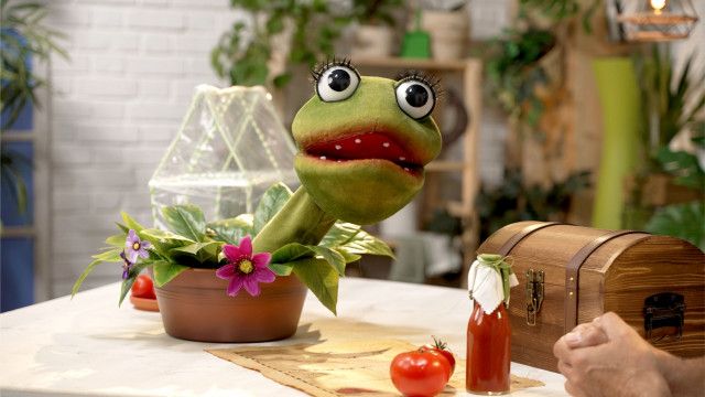 Die Gartenpiraten: Tomaten