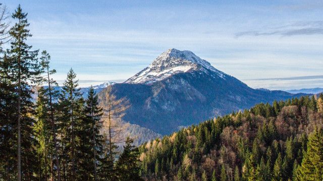 Universum: Ötscher - Im Reich des sanften Riesen