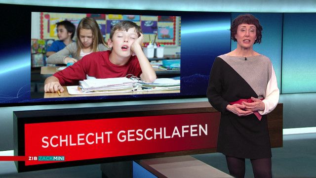 ZIB Zack Mini vom 17.02.2026