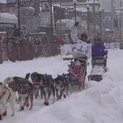 Weltgrößtes Schlittenhunderennen in Alaska