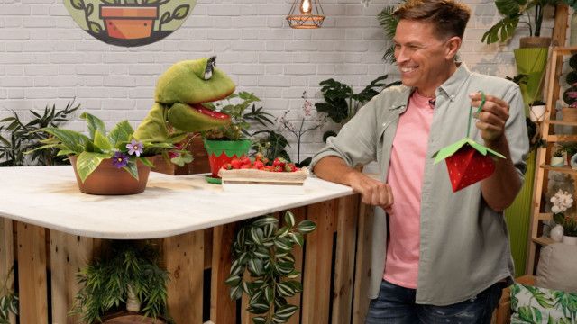 Die Gartenpiraten: Beeren