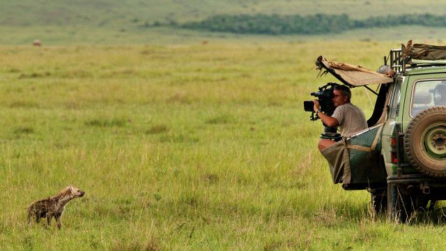 Universum: Hyänen - Die Königinnen der Masai Mara