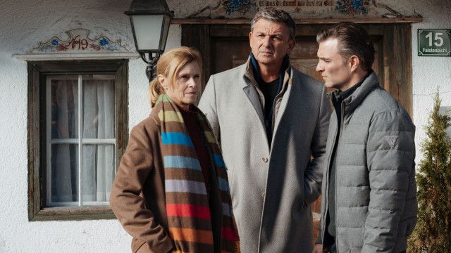 Der Bergdoktor (8/8): Wiedersehen