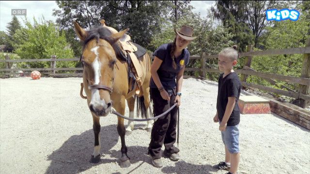 Tolle Tiere vom 02.09.2024