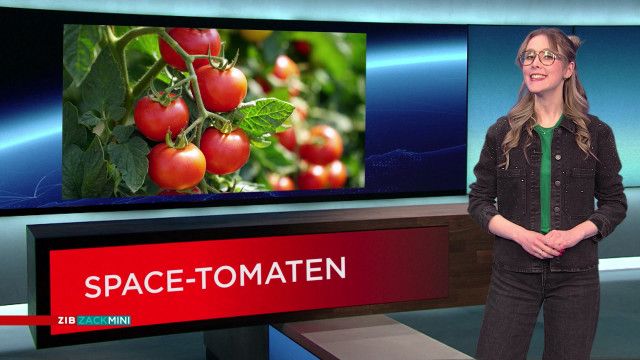 ZIB Zack Mini vom 19.02.2026