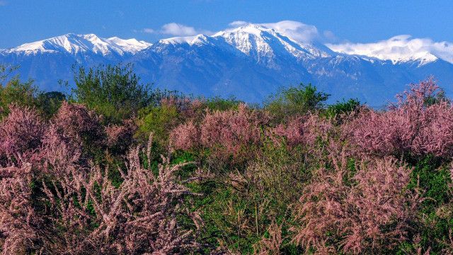 Expeditionen: Wildes Griechenland - Der unbekannte Norden (1/2)