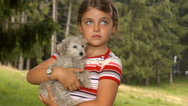 Schlosshotel Orth (7/15): Am Abgrund