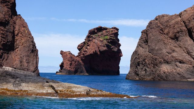 Universum: Korsika - Wildnis zwischen Schnee und Sand