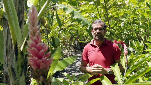Traumgärten auf La Réunion (1) - Mit dem Biogärtner auf der Tropeninsel