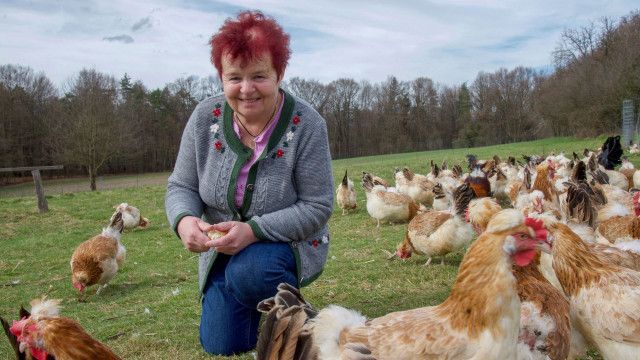 Aufgetischt am Sonntag: Sulmtal und Sausal