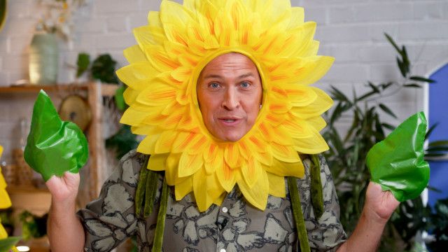 Die Gartenpiraten: Sonnenblume