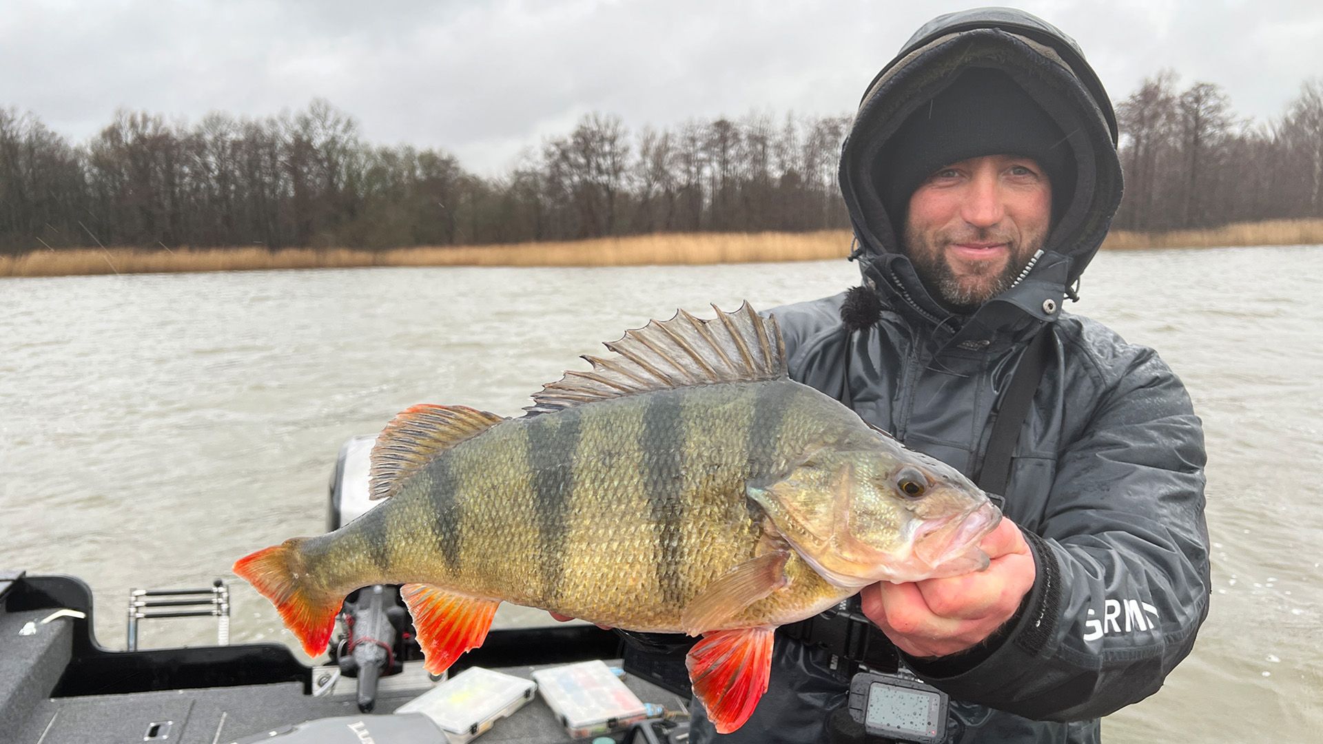 Großbarsche im Winter mit John Chowns